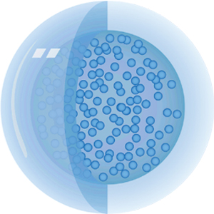 Encapsulated salicylic acid